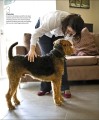 Фото The Beginner's Dog Training Guide 6