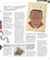 Фото Medicine. The Definitive Illustrated History 5