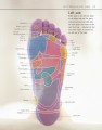 Фото Reflexology 3