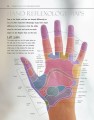 Фото Reflexology 4