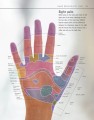 Фото Reflexology 5