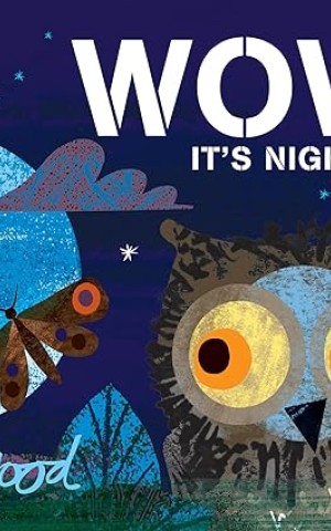 WOW! It's Night-time