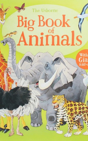 Big Book of Animals