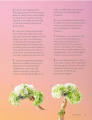 Фото Flower Porn: Recipes for Modern Bouquets, Tablescapes and Displays 6