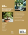 Фото Grow Bonsai 2