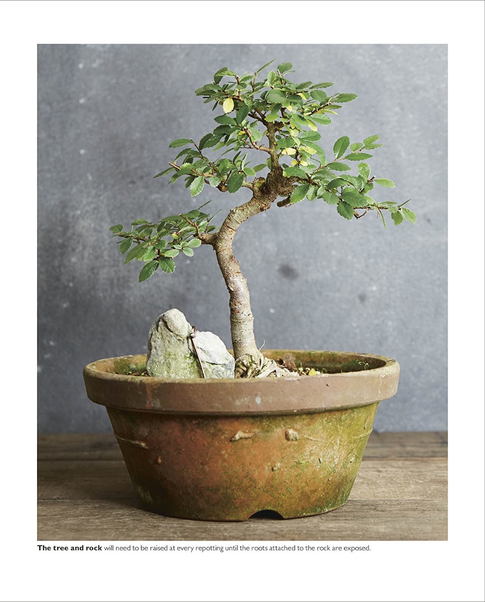 Hidden Product Image 14