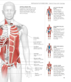 Фото Science of Stretch 4