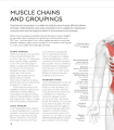 Фото Science of Stretch 5