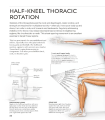 Фото Science of Stretch 6