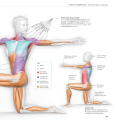 Фото Science of Stretch 7