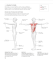 Фото Science of Stretch 8