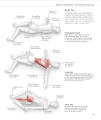 Фото Science of Stretch 9