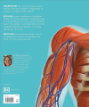 Фото The Definitive Visual Guide: Complete Human Body 2