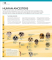 Фото The Definitive Visual Guide: Complete Human Body 3
