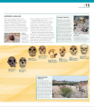 Фото The Definitive Visual Guide: Complete Human Body 4