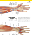 Фото The Definitive Visual Guide: Complete Human Body 8
