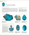 Фото The Definitive Visual Guide: Jewel 7