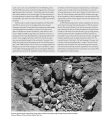 Фото The History of Central Asia 5