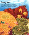 Фото Seas and Oceans. Look Inside 5
