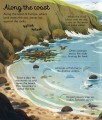 Фото Seas and Oceans. Look Inside 4