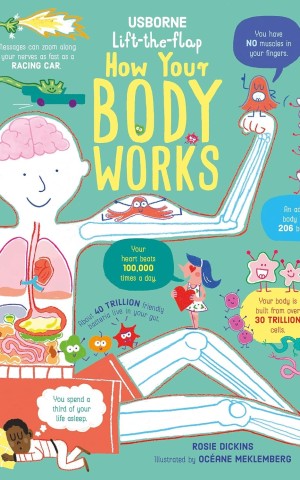 How Your Body Works. Lift-the-Flap