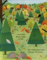 Фото Peep Inside a Forest 6