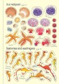Фото Little First Stickers Aquarium 5