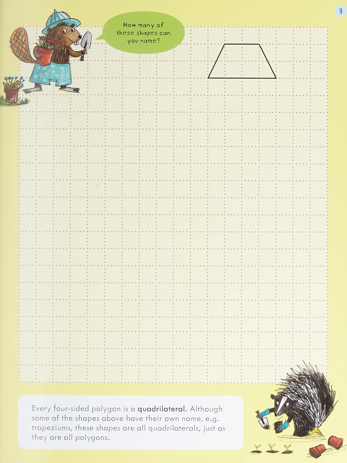 Hidden Product Image 11