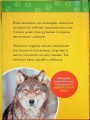 Фото Гав! 100 цікавих фактів про собак 4