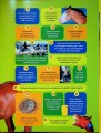 Фото Галопом! 100 цікавих фактів про коней 3
