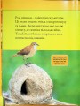 Фото Тварини-будівники 5