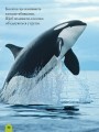 Фото National Geographic. Моя перша енциклопедія. Океани 3
