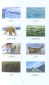 Фото Climate Change 4