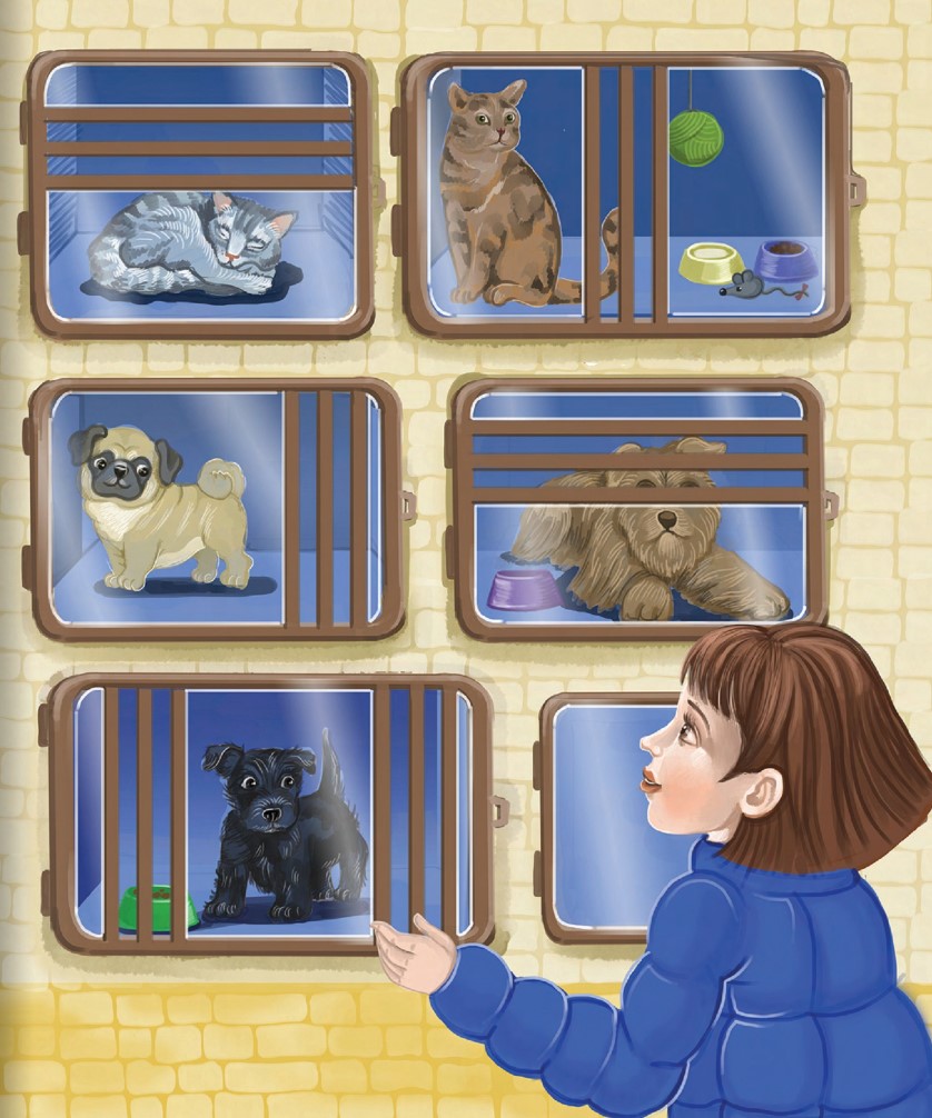 Hidden Product Image 11