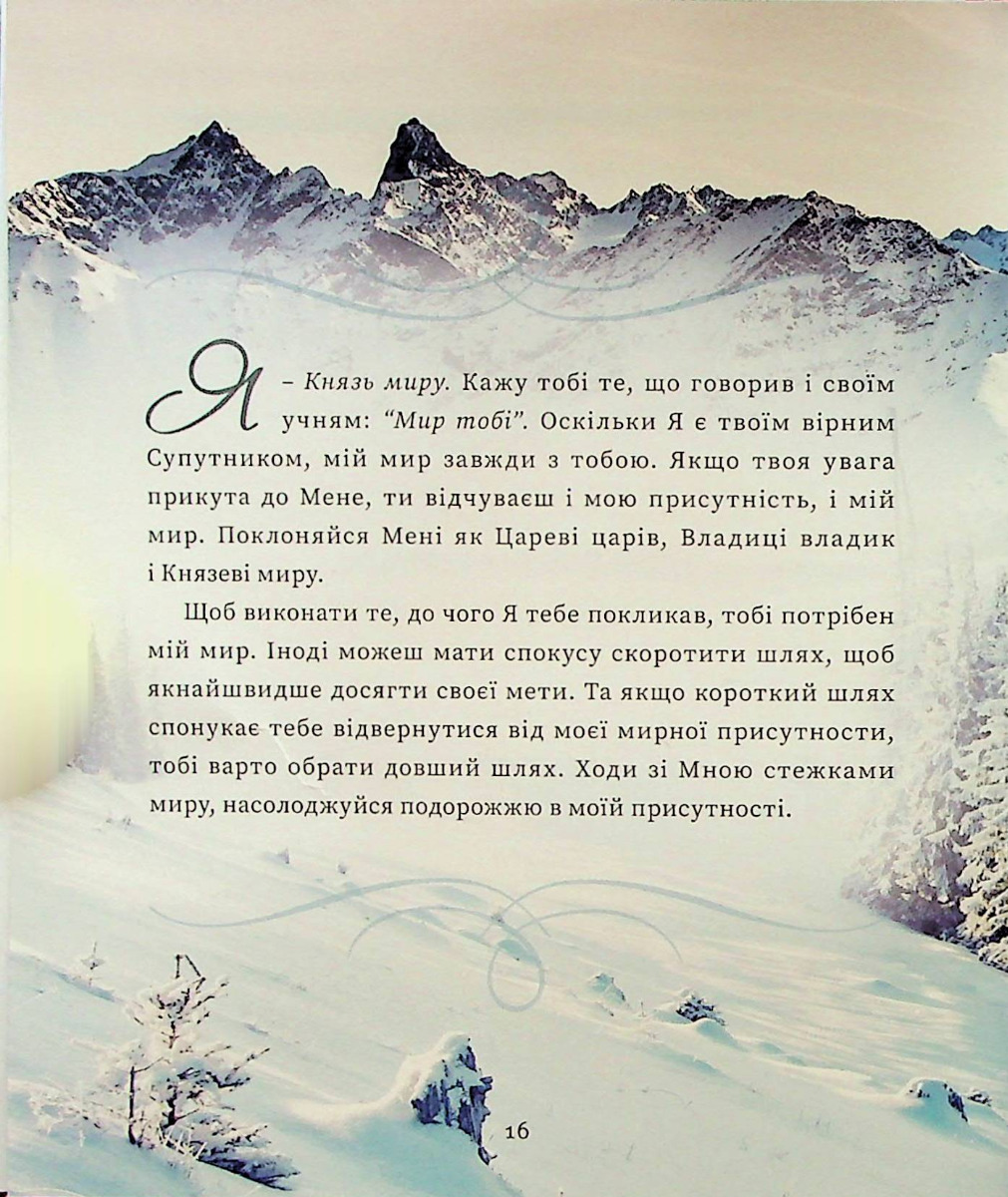 Hidden Product Image 11