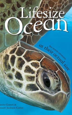 Lifesize Ocean