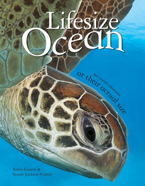 Фото Lifesize Ocean