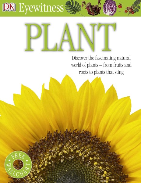 Фото Eyewitness: Plant