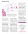 Фото Big Ideas: The Psychology Book 4