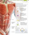 Фото The Complete Running and Marathon Book 3