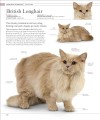 Фото The Cat Encyclopedia 8