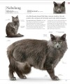 Фото The Cat Encyclopedia 9