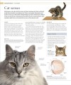 Фото The Cat Encyclopedia 10