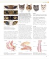 Фото The Cat Encyclopedia 11
