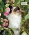 Фото The Cat Encyclopedia 12