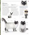 Фото The Cat Encyclopedia 13