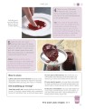 Фото Little Course in Preserving. Simply Everything You Need to Succeed 9