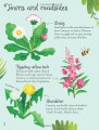 Фото Flowers to Spot. Usborne Minis 3