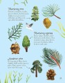 Фото Trees to Spot. Usborne Minis 4