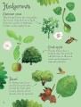 Фото Trees to Spot. Usborne Minis 5